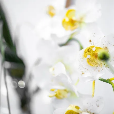 Apartamento Aresti Old Town By Living Bilbau