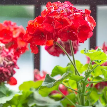 Aresti Old Town By Living 毕尔巴鄂